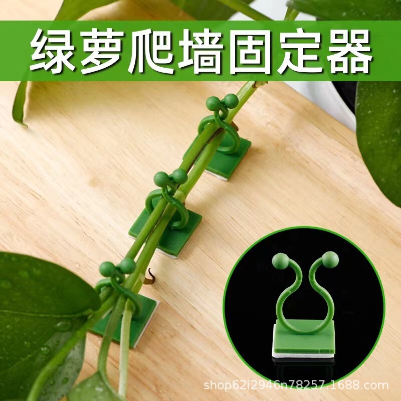 グリーンラスクレードラー固定具、蔓植物、緑の植物、壁クライミングフック、ワイヤー固定バックル、クライミングクレードル固定クリップ|undefined
