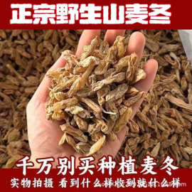 正宗 野生 川麦冬 大叶麦冬 寸冬深山麦门冬农户自产天然晒干无硫