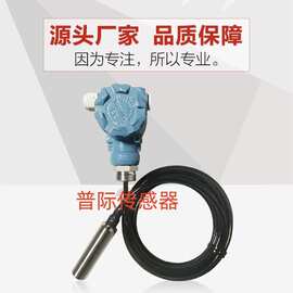 SP-812精密芯体投入式液位变送器 消防污水液位计 压力式液位计