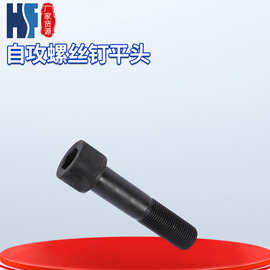钢结构连接副螺栓8.8级T型GB3736*250高强度自攻螺丝钉平头螺纹
