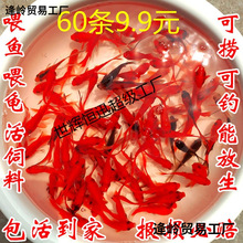 �ݽ�����С�~��ˮ���B���ͻ����ˮ�~�^�p�~����С���~���~��һ��