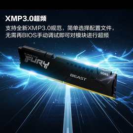 Kingston/金士.顿 FURY Beast DDR5 5600 6000 6400 16G 32G内存