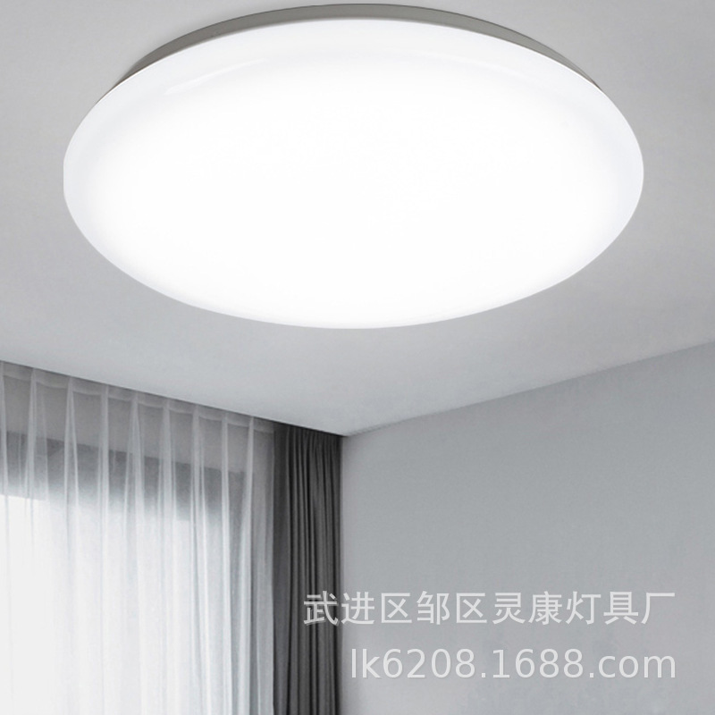 Wholesale LED ceiling light simple bedroom light round living room light balcony aisle light lighting lamps 24W ceiling light