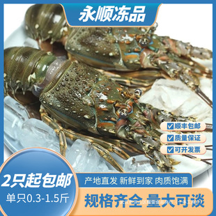 ����С�������r�����������r��������������r���������r2ֻ��l