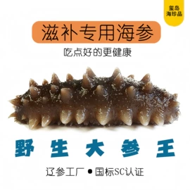 海参;海参即食;水产干货类