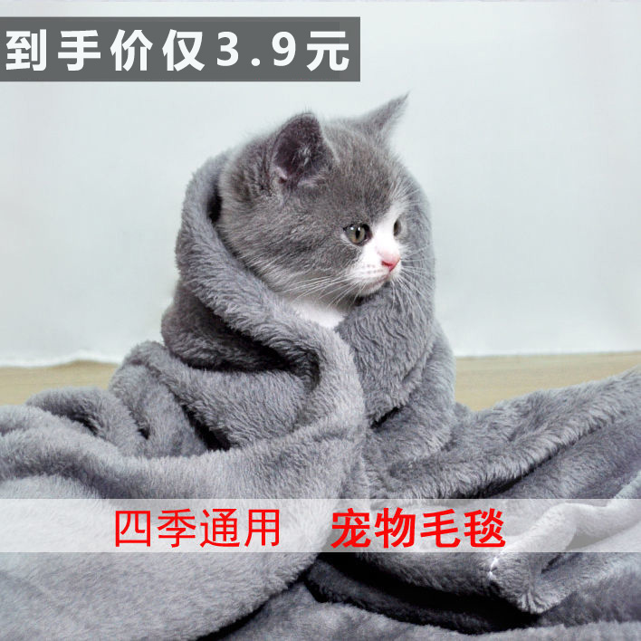 Teddy Dog Pet Blanket Mat Small and Medium-sized Dog Quilt Mat Cat small size Simple Thickened Large Cat Nest