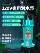 ��ˮ��220v���Ý�ˮ�ý���С�͸ߓP�̳�ˮ�C�r�ù������ˮ��