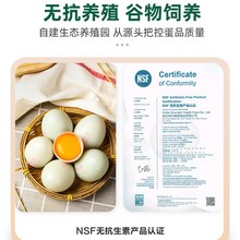 神丹VE保洁鲜鸭蛋360枚整箱青壳散养红心新鲜生鸭蛋个大绿壳鸭蛋