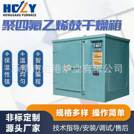 厂家生产加热速度快优良RFX聚四氟乙烯鼓风电热恒温干燥箱
