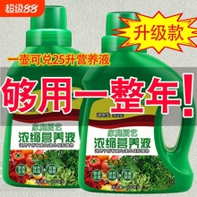 植物营养液绿植通用型花肥盆栽发财树绿萝富贵竹水培花卉肥料室内