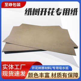 厂家现货批发纸树开花吸水纸专业纸树开花用纸多种颜色开花吸水纸