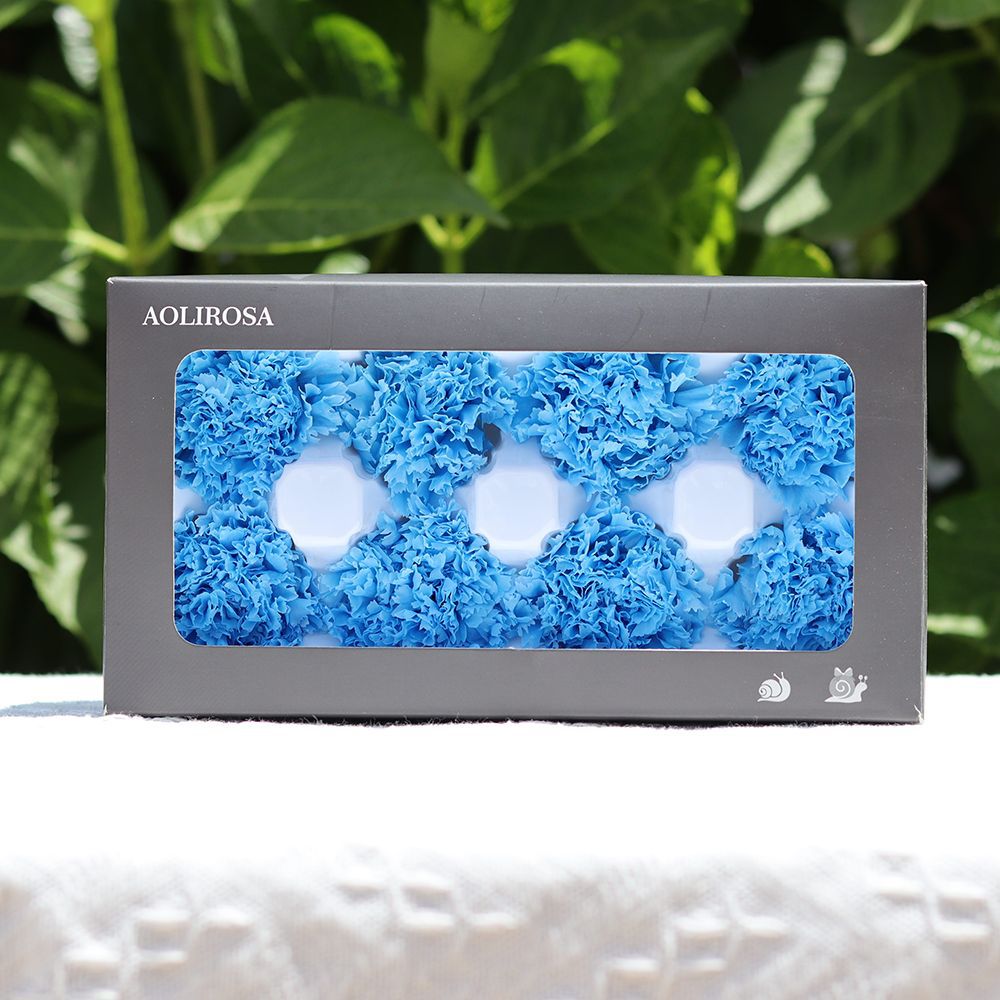 Cabezas de Claveles Preservadas A+, 4-5 cm, Paquete de 8, Arte Floral DIY, Caja de Regalo Educativa, Día de la Madre, Venta al por Mayor de Fábrica