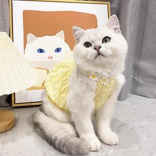 Cute Cat Clothes and Skirts for Summer, Thin Silver Gradient Blue Cat, British and American Short Ragdoll Cat, Short-Legged Kitten to Prevent Shedding