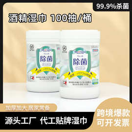 厂家批发消毒湿巾桶罐装清洁湿纸巾桶装酒精湿巾100抽