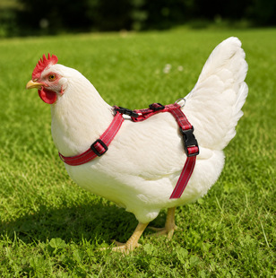 �u�������İ�ȫ����Ó�{�����OӋҹ�g�����ճ����݌�����Ʒ�ɠ���