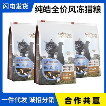 这就是江湖：卓不群通关心得与伤害解析