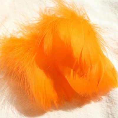 오렌지 (100 루트 배치)