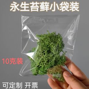 С��̦�\10���b�滨ֲ��쾰diy�ɻ����ϰ��Z¹̦�\��ϏS��