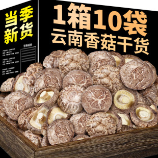 ����㹽��؛�r��Ģ�����������������Ҝ�ʳ���Ͼ���㹽�����l