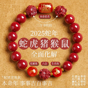 2025�걾��������������ɰ�������̫�q��ɰ�ִ�ֱ����؛