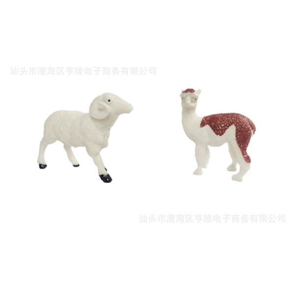 Alpaca, sheep, 53G