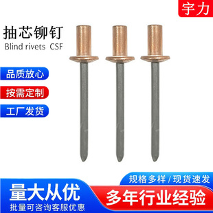 CSF�~/�F���]�ͱ�A�^��о�T� ���~�T��~�