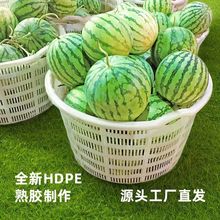 ȫ3ֻbbϵĿˮ߲DӺUՈA