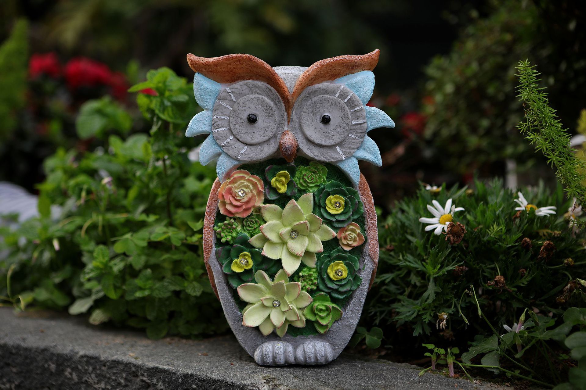 猫头鹰详情图 (7).jpg