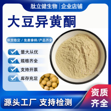 大豆异黄酮98%大豆胚芽提取物强化剂大豆异黄酮otc原料粉末食品级