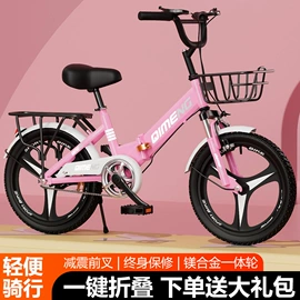 折叠自行车;自行车;行李绳