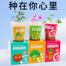 迷你种植盲盒儿童植物盆栽小盆栽幼儿园观察植物小学生种子批发