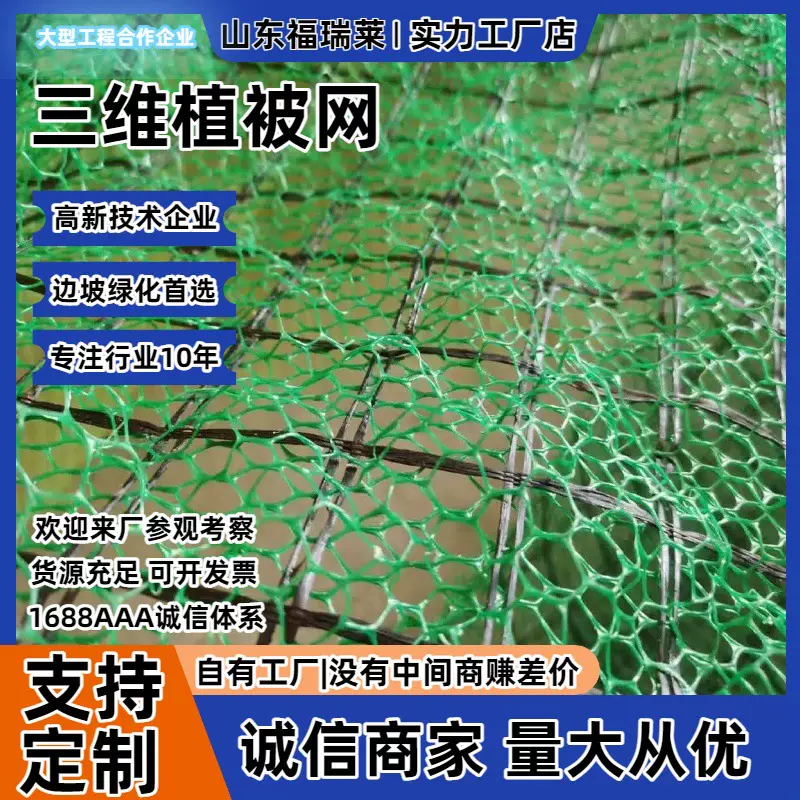加筋三维土工网河道治理高速边坡三维网EM3EM5植被网护坡高速护坡