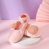Chen Yuyang, the same background dance shoes, soft soles of ballet shoes, practice canvas