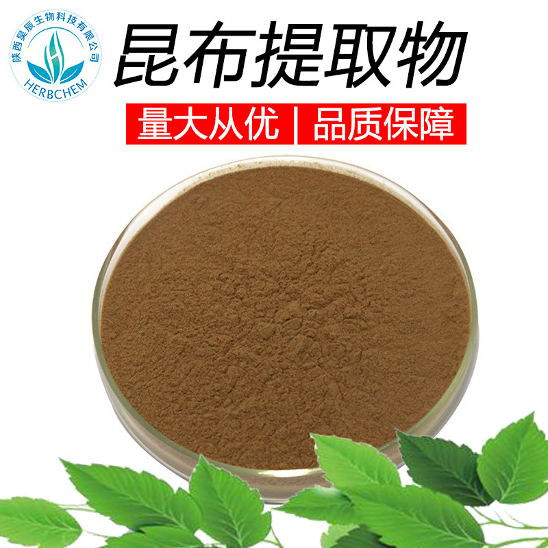 昆布提取物30:1 工厂现货供应 昆布提取粉 昆布粉