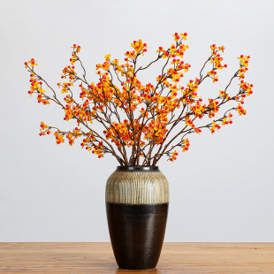 С֦�����ٷ��滨С�t���������ɘ�֦�ٻ������L�b[���zӰ����