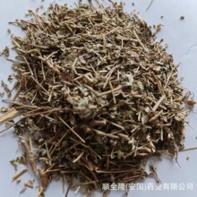 ��ș�� ͸�ǲ� �����S�����l���ϸ��C�|�z�lƱ�����󃞻ݚgӭ����