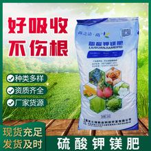 �S�ҬF؛⛷�  ������V�w�� �r�I��