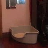 SmartCat Большой открытый пластиковый треугольный кошачий туалет, угловой кошачий туалет, ежемесячная распродажа 1