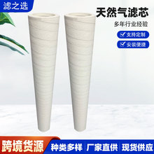 天然气滤芯PCHG336