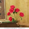 Single rose with 7 heads