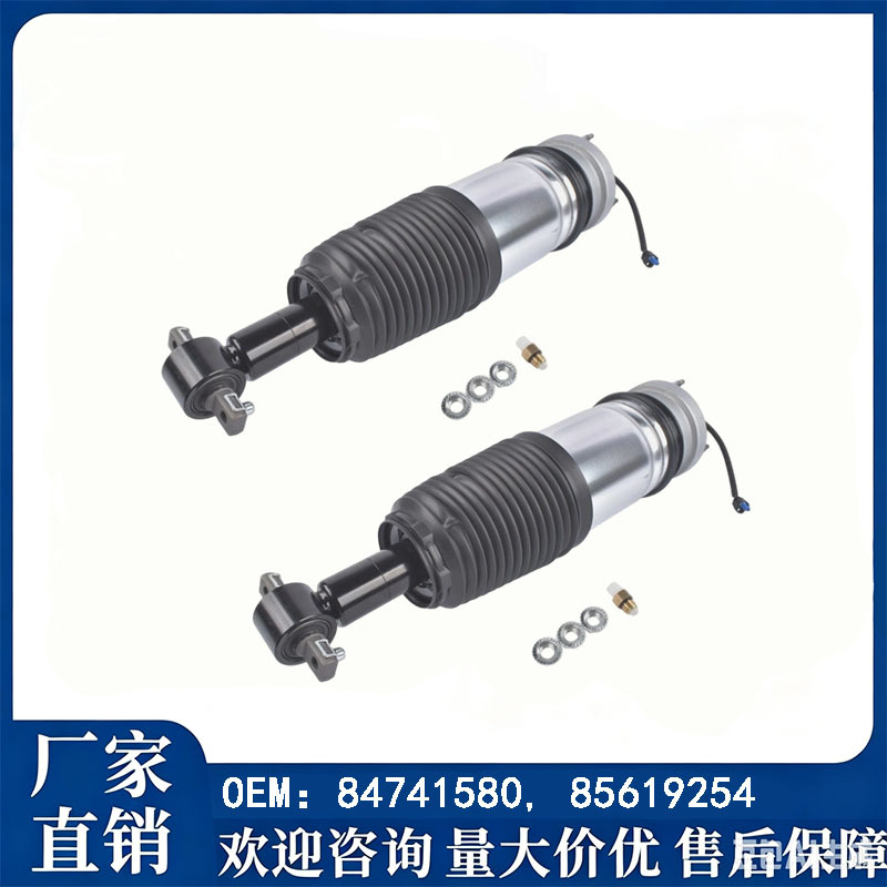 84741580/85619254/85619249/22358405/23150192 Shock Absorbers Factory Stock