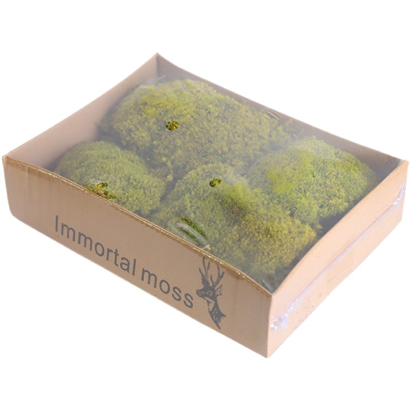 Musgo eterno musgo simulación planta pelo blanco musgo gris musgo grande interior seco paisaje piedra seco musgo verde planta