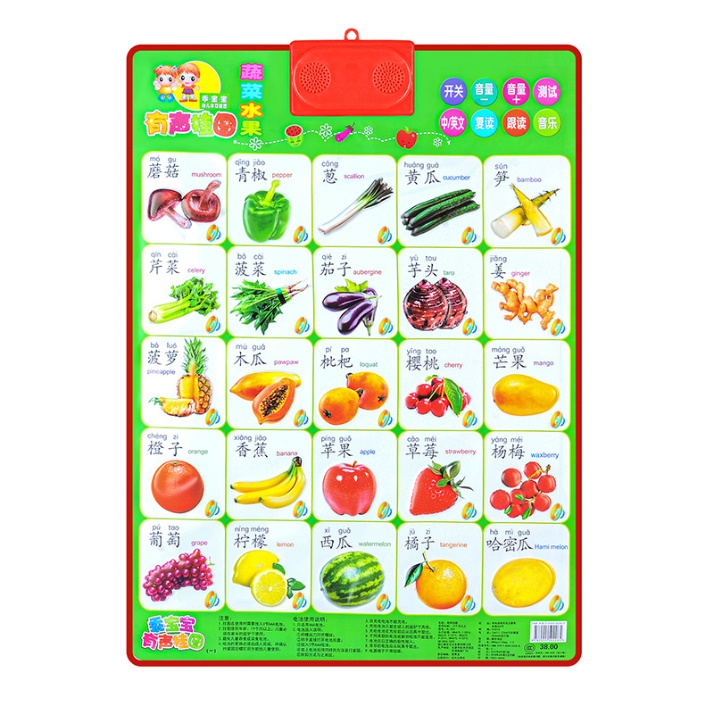 KL-026 과일과 야채