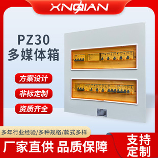 �������������w��PZ30��ý�w��Ϣ�䰵�b������_�P���������
