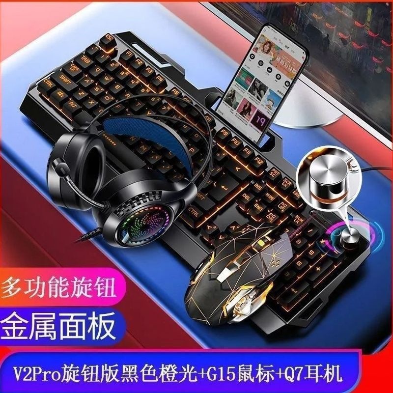 Earphones