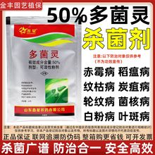 鑫星 50%多菌灵批发叶斑病麦类赤霉病水稻纹枯病稻瘟病百菌清农药
