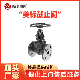 J41F���˽�ֹ�y ̼�A105 ʯī���� ���ƻ��W�����b�îa������