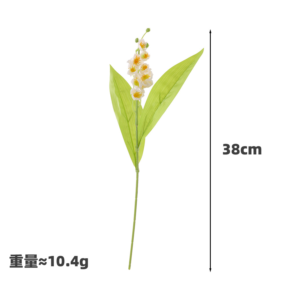 도라지-화이트