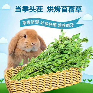 2026������ޣ�ݸɲ� ������؈���m�i����ʳ�����ݼZ��һ�����l