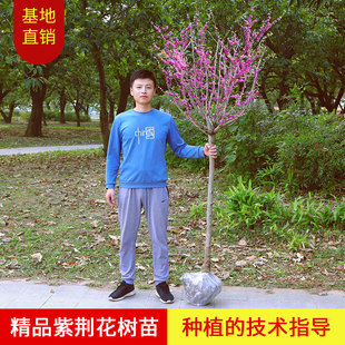 һ�����l���G�����������ͺ�����ֲ��ͥԺ�����ļ��_�����G����